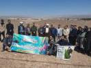 Holding a Tree Planting Ceremony at Fasa University on the Occasion of Natural Resources Week